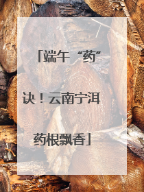 端午“药”诀！云南宁洱药根飘香
