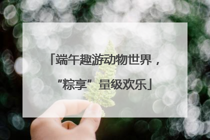 端午趣游动物世界，“粽享”量级欢乐