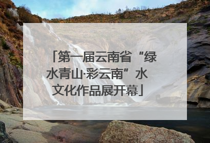第一届云南省“绿水青山·彩云南”水文化作品展开幕