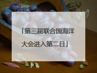 第三届联合国海洋大会进入第二日