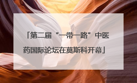 第二届“一带一路”中医药国际论坛在莫斯科开幕