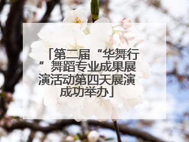 第二届“华舞行”舞蹈专业成果展演活动第四天展演成功举办