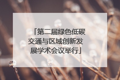 第二届绿色低碳交通与区域创新发展学术会议举行
