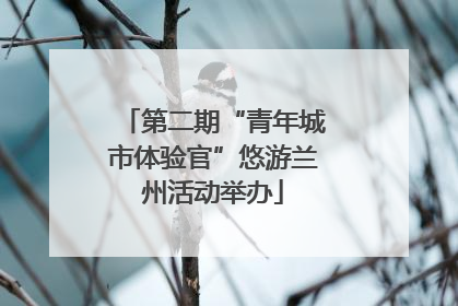 第二期“青年城市体验官”悠游兰州活动举办