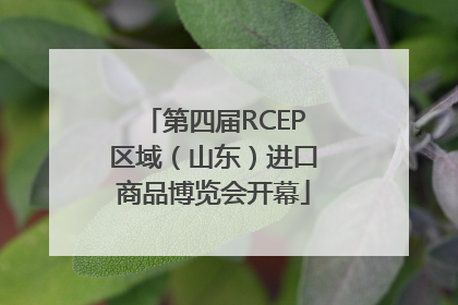 第四届RCEP区域（山东）进口商品博览会开幕