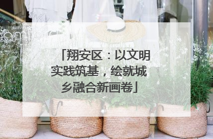 翔安区：以文明实践筑基，绘就城乡融合新画卷