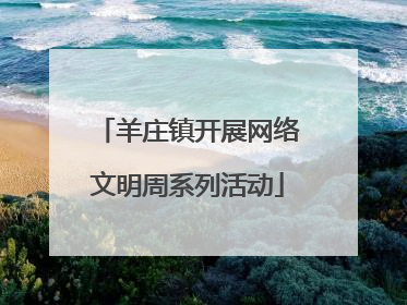 羊庄镇开展网络文明周系列活动