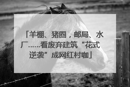 羊棚、猪圈，邮局、水厂……看废弃建筑“花式逆袭”成网红村咖