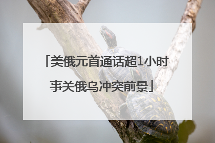 美俄元首通话超1小时 事关俄乌冲突前景