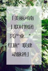 美丽河南丨联村抱团兴产业 “红旗”联建动脉通