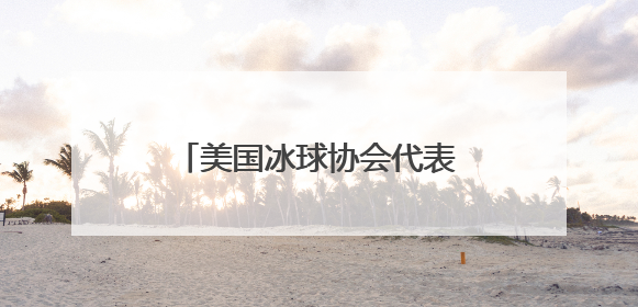 美国冰球协会代表团访问黑龙江 共话冰球运动发展