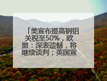 美宣布提高钢铝关税至50%，欧盟：深表遗憾，将继续谈判；英国宣称要建12艘核潜艇；马斯克最新发声：不想为美政府所做的一切承担责任丨早报