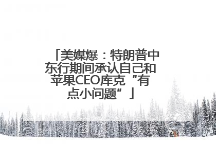 美媒爆：特朗普中东行期间承认自己和苹果CEO库克“有点小问题”