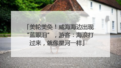 美轮美奂！威海海边出现“蓝眼泪”，游客：海浪打过来，就像星河一样