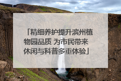 精细养护提升滨州植物园品质 为市民带来休闲与科普多重体验