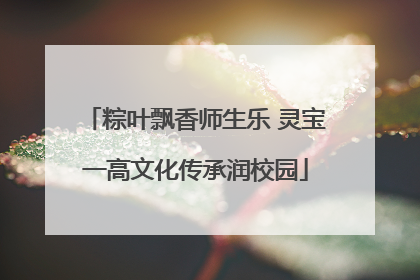 粽叶飘香师生乐 灵宝一高文化传承润校园