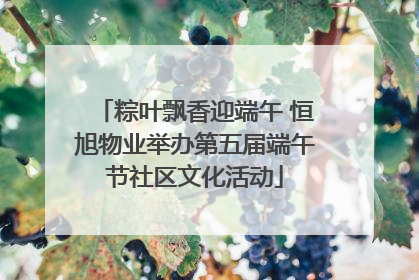 粽叶飘香迎端午 恒旭物业举办第五届端午节社区文化活动