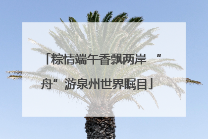粽情端午香飘两岸 “舟”游泉州世界瞩目