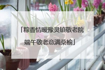 粽香情暖豫灵镇敬老院 端午敬老意满桑榆