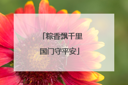 粽香飘千里 国门守平安