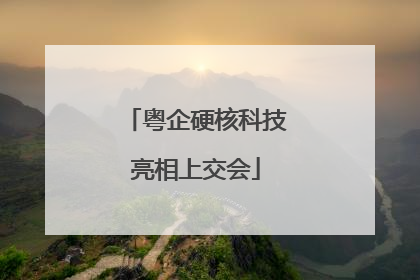 粤企硬核科技亮相上交会