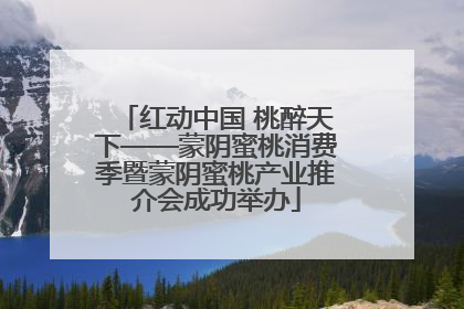 红动中国 桃醉天下——蒙阴蜜桃消费季暨蒙阴蜜桃产业推介会成功举办