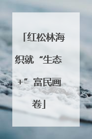 红松林海织就“生态+”富民画卷