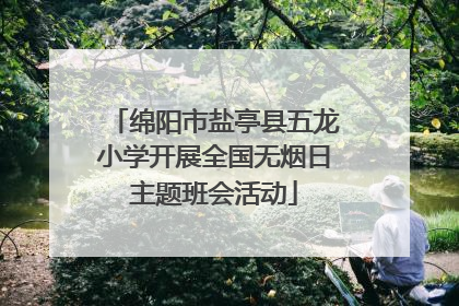 绵阳市盐亭县五龙小学开展全国无烟日主题班会活动