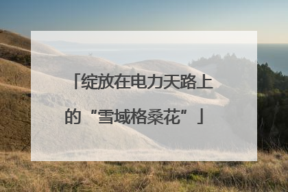 绽放在电力天路上的“雪域格桑花”