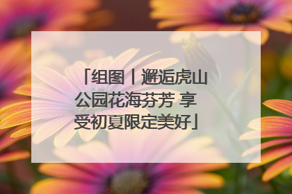 组图丨邂逅虎山公园花海芬芳 享受初夏限定美好