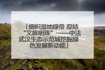 细织湿地绿带 厚结“文旅明珠”——中法武汉生态示范城挖掘绿色发展新动能