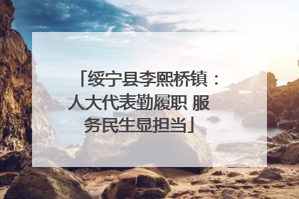绥宁县李熙桥镇：人大代表勤履职 服务民生显担当