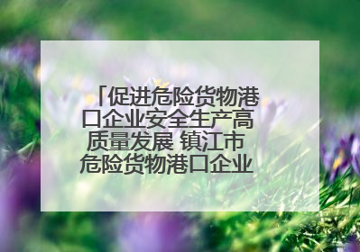 促进危险货物港口企业安全生产高质量发展 镇江市危险货物港口企业安全联盟成立