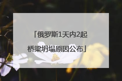 俄罗斯1天内2起桥梁坍塌原因公布