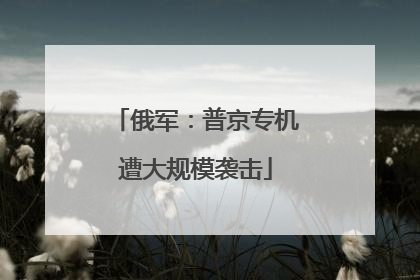 俄军：普京专机遭大规模袭击