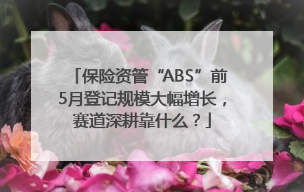 保险资管“ABS”前5月登记规模大幅增长，赛道深耕靠什么？