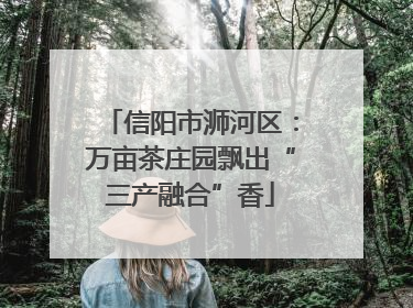 信阳市浉河区：万亩茶庄园飘出“三产融合”香