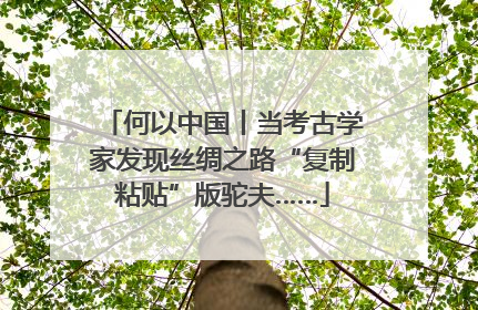 何以中国丨当考古学家发现丝绸之路“复制粘贴”版驼夫……
