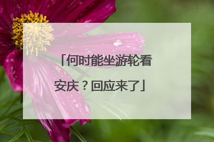 何时能坐游轮看安庆？回应来了