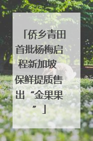 侨乡青田首批杨梅启程新加坡 保鲜提质售出“金果果”