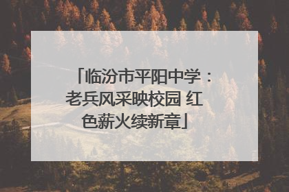 临汾市平阳中学：老兵风采映校园 红色薪火续新章