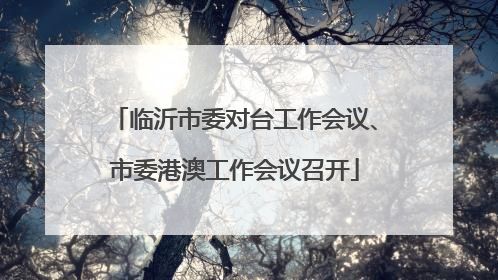 临沂市委对台工作会议、市委港澳工作会议召开