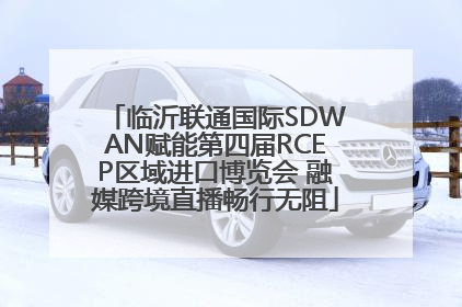 临沂联通国际SDWAN赋能第四届RCEP区域进口博览会 融媒跨境直播畅行无阻