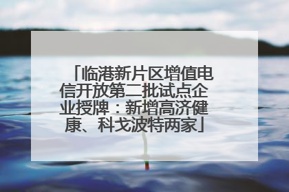 临港新片区增值电信开放第二批试点企业授牌：新增高济健康、科戈波特两家