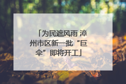 为民遮风雨 漳州市区新一批“巨伞”即将开工