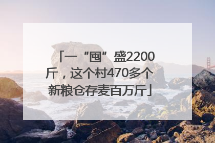 一“囤”盛2200斤，这个村470多个新粮仓存麦百万斤
