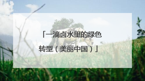 一滴卤水里的绿色转型（美丽中国）