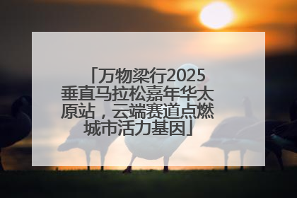万物梁行2025垂直马拉松嘉年华太原站，云端赛道点燃城市活力基因