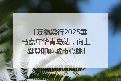 万物梁行2025垂马嘉年华青岛站，向上攀登叩响城市心跳