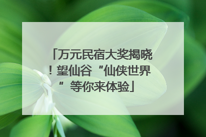 万元民宿大奖揭晓！望仙谷“仙侠世界”等你来体验